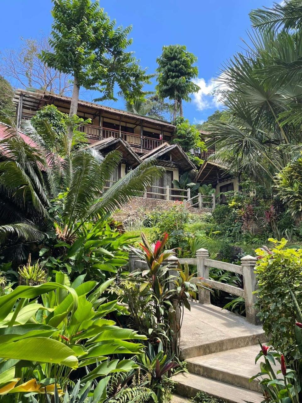 Novie'S Tourist Inn El Nido Exteriör bild
